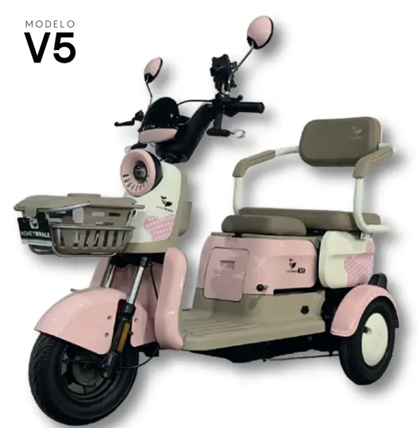 MotoBici Electrica Honeywhale V5 3 ruedas