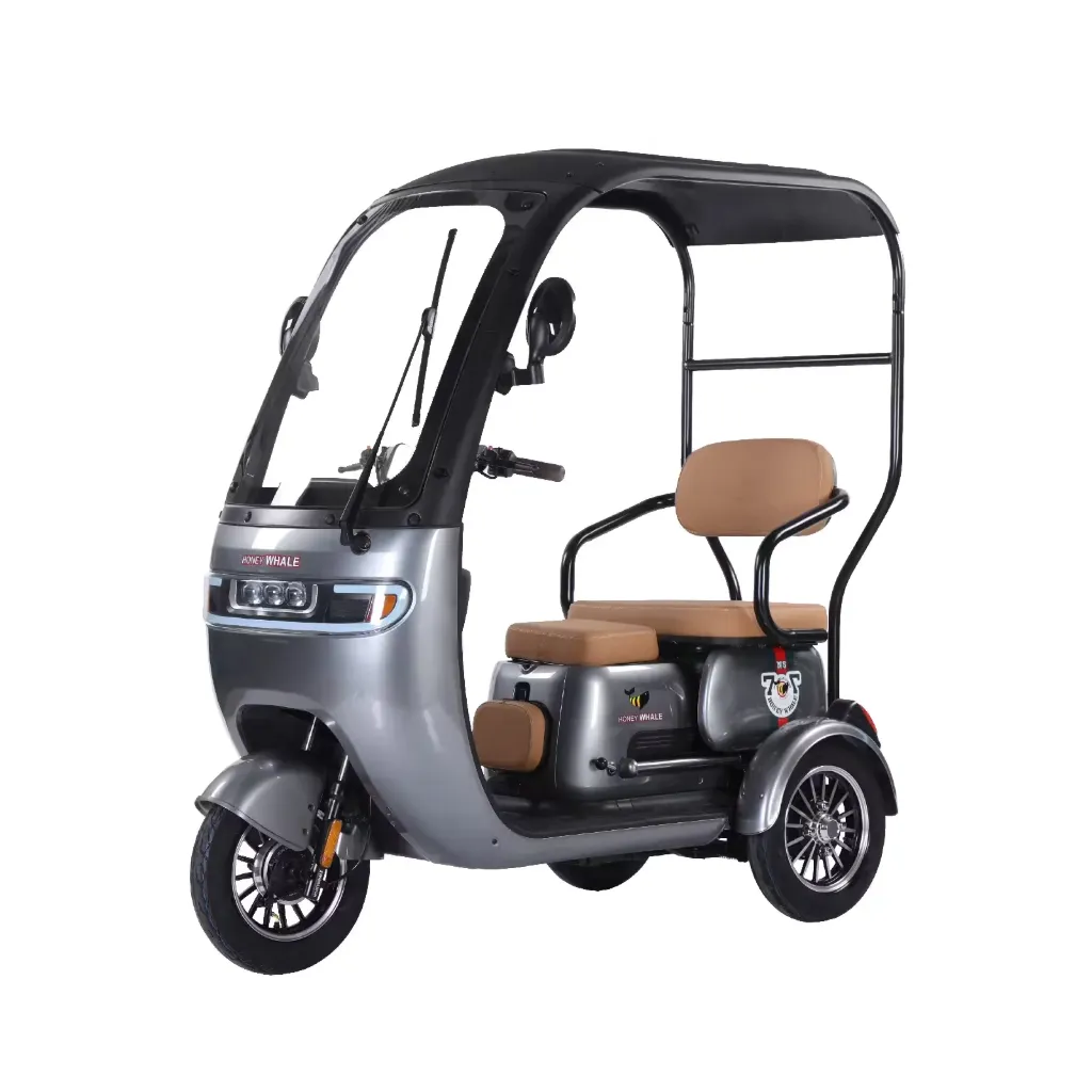 MotoBici Eléctrica HoneyWhale HN-N5 (Gris)