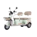 Trimoto Eléctrica Honey Whale HN-N1