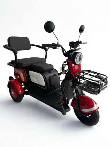 MotoBici Electrica Honeywhale V4 3 Ruedas