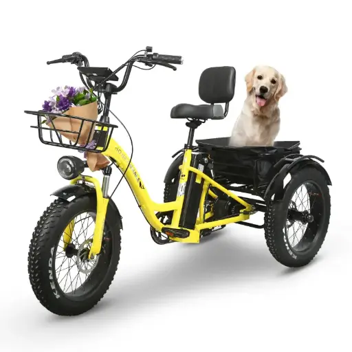 Tricicleta Electrica Plegable HoneyWhale S13